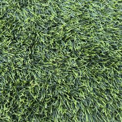 Pro Trade Fescue Light Synthetic Turf  84oz