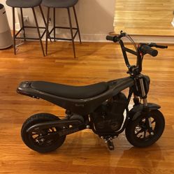 TT750R BURROMAX E-BIKE
