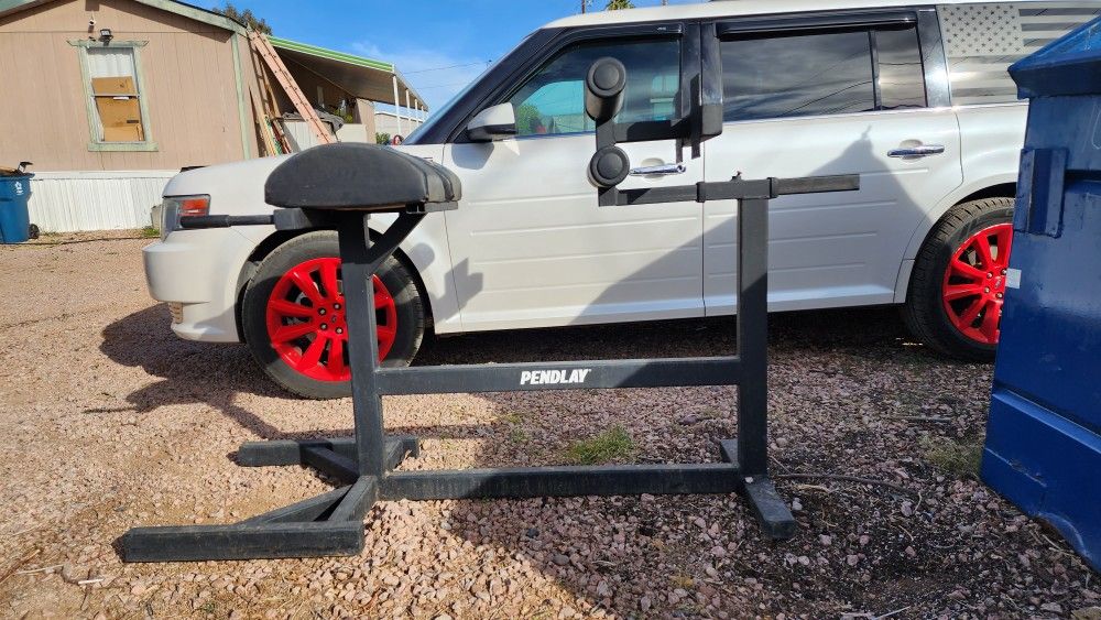 Pendlay Hyper Extenstion Sit Up Machine