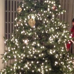 8’ Feet Christmas Three 