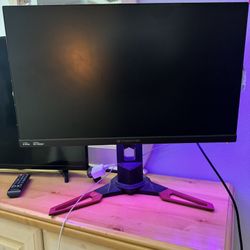 Predator Gaming Monitor 