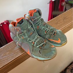Lebron 12 NSRL