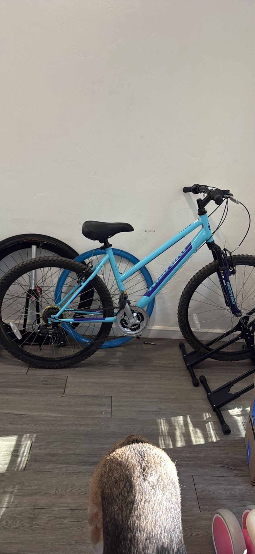 Nishiki Women’s Mountain Bike