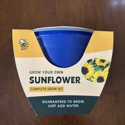 Sunflower grow kit 4” pot