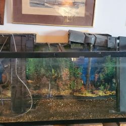 55 Gallon Aquarium 