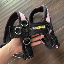 Alpine Outfitters- Urban Trail Harness(Small)