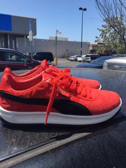 Puma