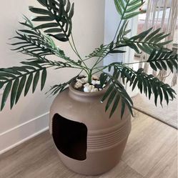 Hidden Litter Box Plant