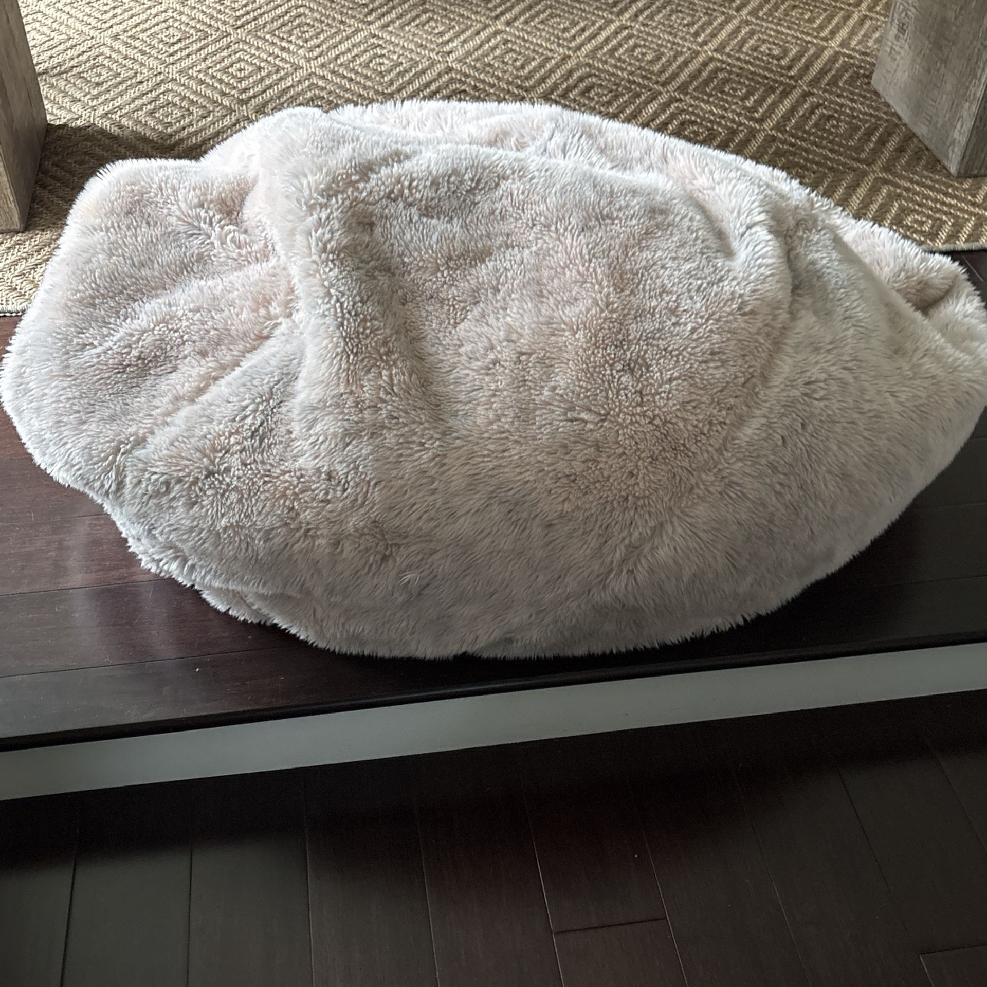 Pottery Barn Kids Bean Bag With Insert