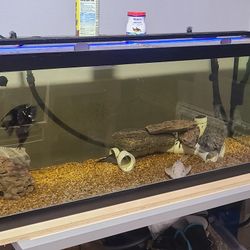 75 Gallon Aquarium 