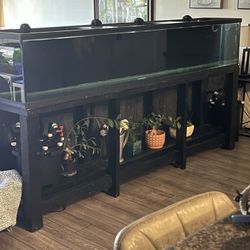 120 Gallon Fish Tank With Stand 