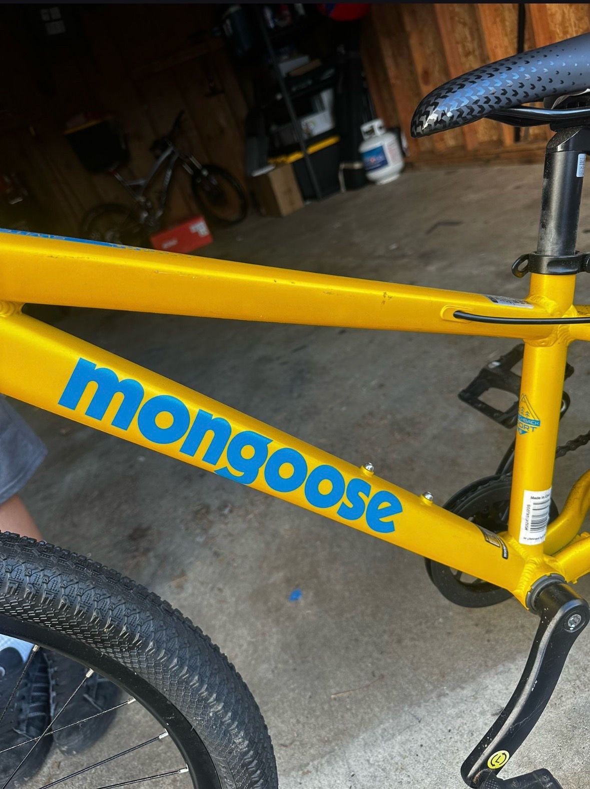 mongoose mountain bike