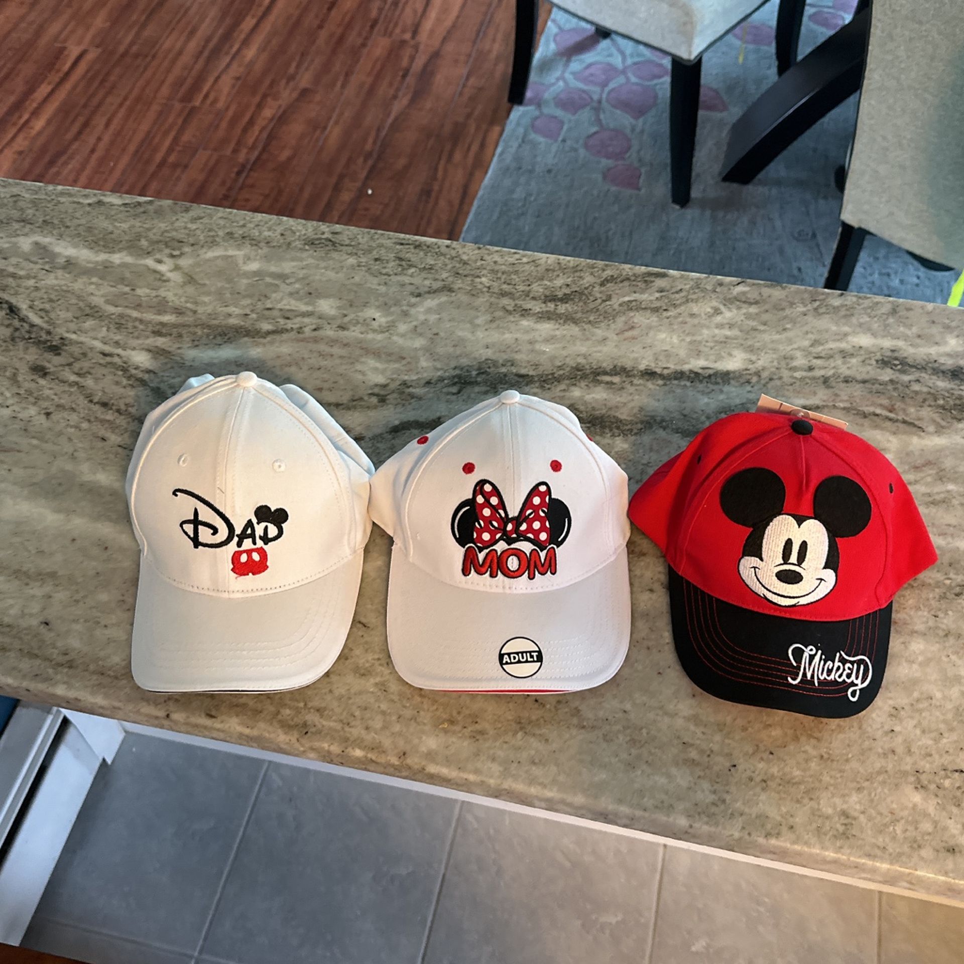 Brand New/ Never Worn Disney hats