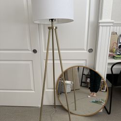 Floor Lamp and Mirror