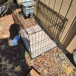 Pet Case