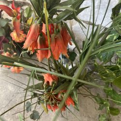 Artificial flower