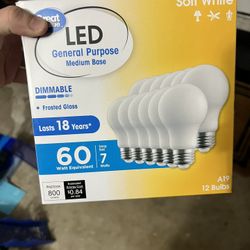 12 Pack Of Led Light Bulbs 