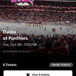 Florida Panthers Vs ducks 10/28