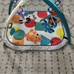 Baby Einstein Play Mat