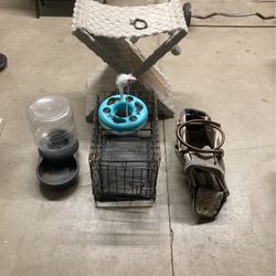 All For Cats Best Offer