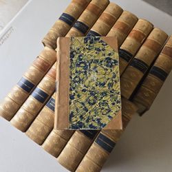 Charles Dickens’ Complete Works – 14 Volumes of 15 – Deluxe Marbled & Leather Binding – Illustrated by Fred Barnard – Frank F. Lovell & Co. (c.1880s)