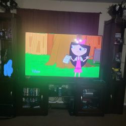 FREE Entertainment Center