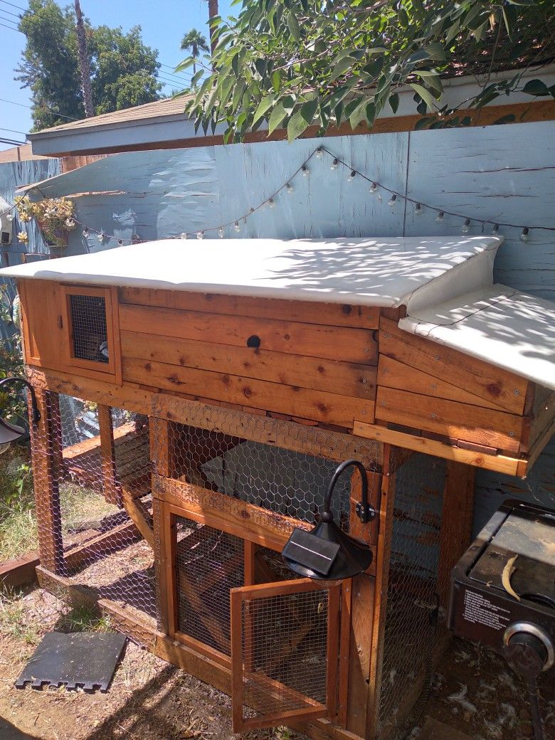 Chicken Coop