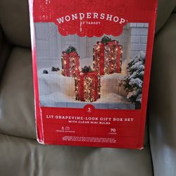 Light up Christmas Decorations