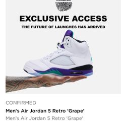 Nike Air Jordan 5 Grape 🍇 