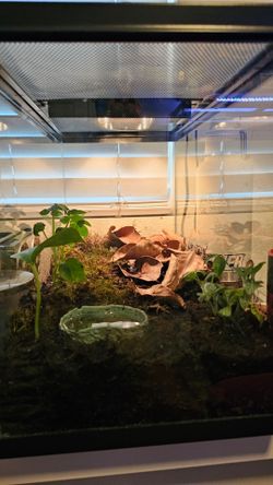 Samurai Blue pacman setup