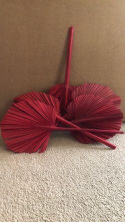 Decorative Fans