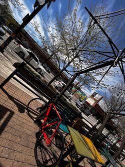 crew fixie