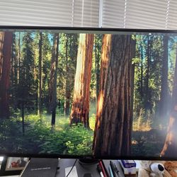 Dell 2160p Ultra HD Monitor 