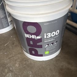 Paint 5 Gallon
