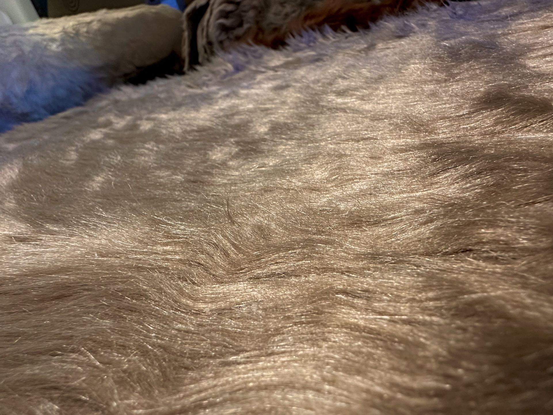 Dark Ivory/Khaki Luxury Shag Longpile