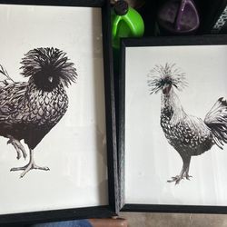 Framed Artwork