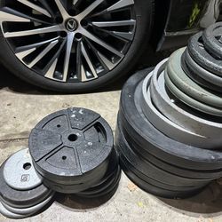 Weights For Sale