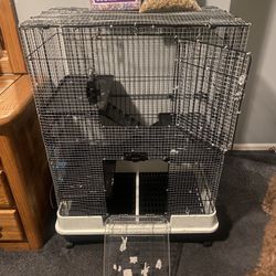 4 Level Small Animal Cage On Where I Work Today And How Much Is My Body 