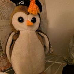 Ty Beanie Baby Graduation Owl 