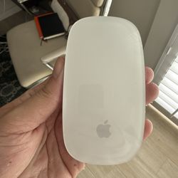 Apple Wireless Magic Mouse In White 