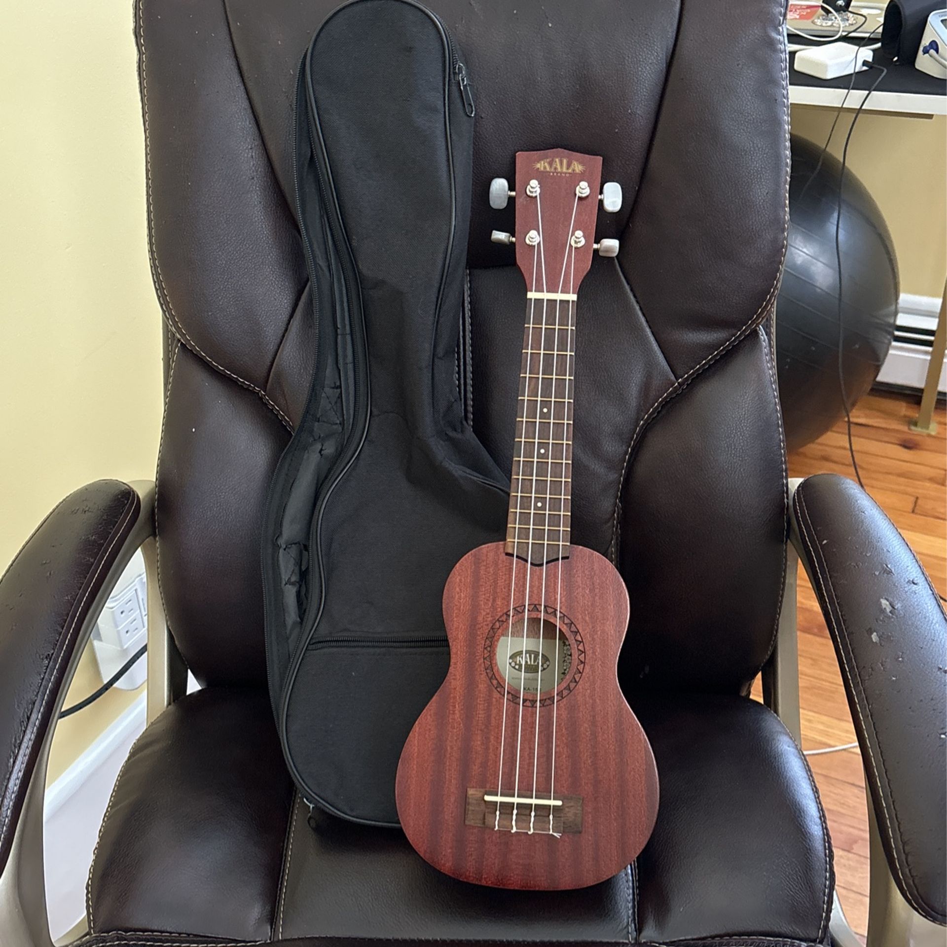 Ukulele Kala & Case