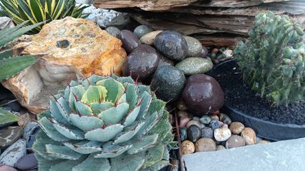 Large 5”-7”MultiColor B. Pebble (Open 7 days A week 5:00 am - 11:00 pm