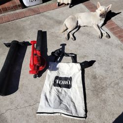 Electric Leaf Blower 