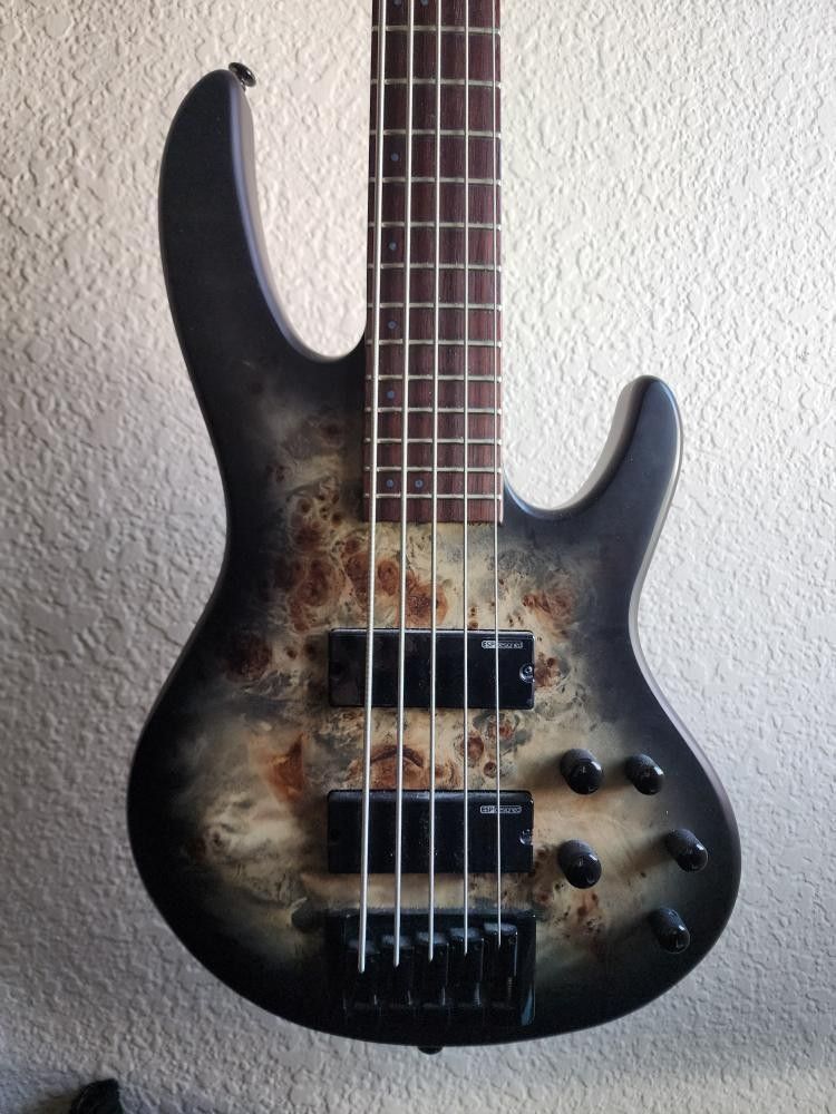 ESP LTD B-5 : 5 String electric bass guitar
