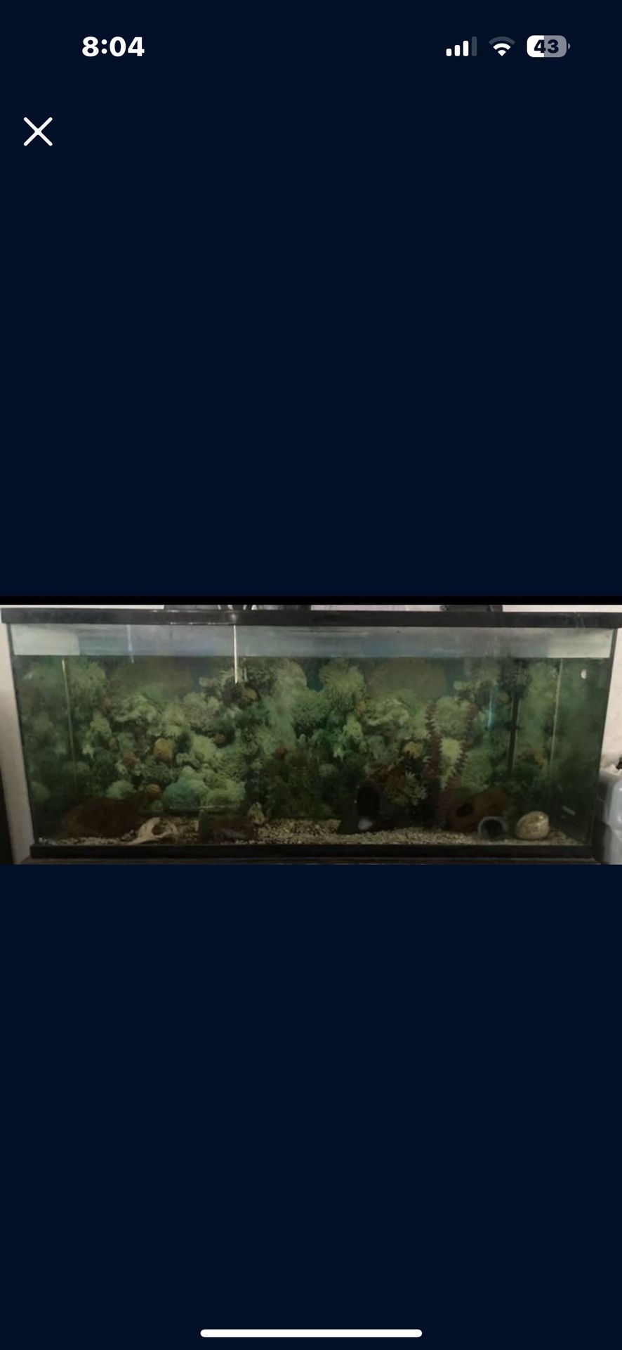 Fish Tank