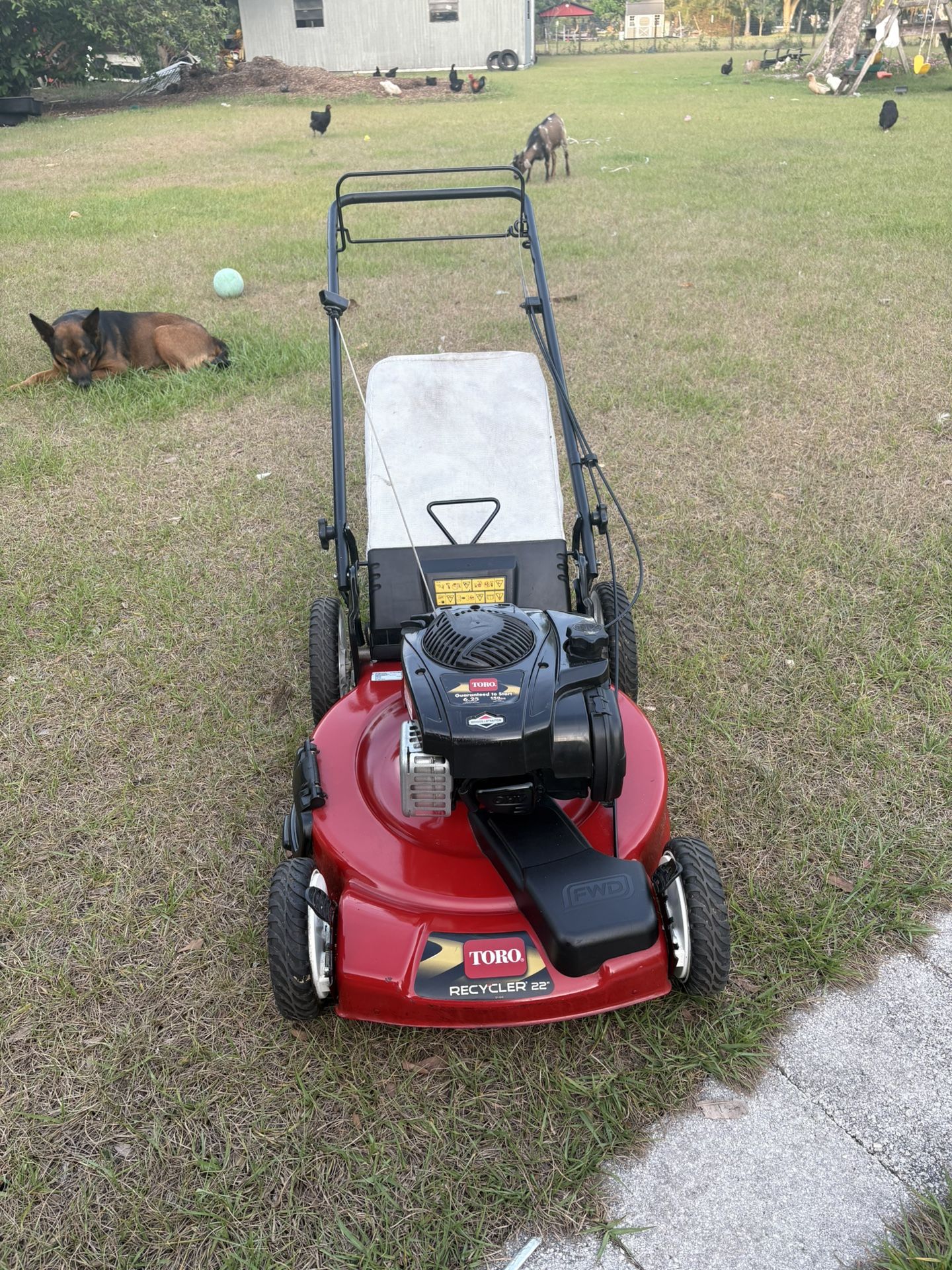Lawn. Mower. Toro 🐂 Self. Prop