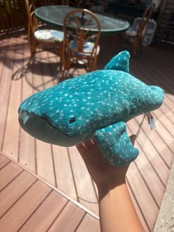 Jelly cat Whale shark