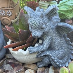 🔥 🩶 Dragon 🐉 🥚 Egg Planter - With Succulents 🪴 Plant Included 