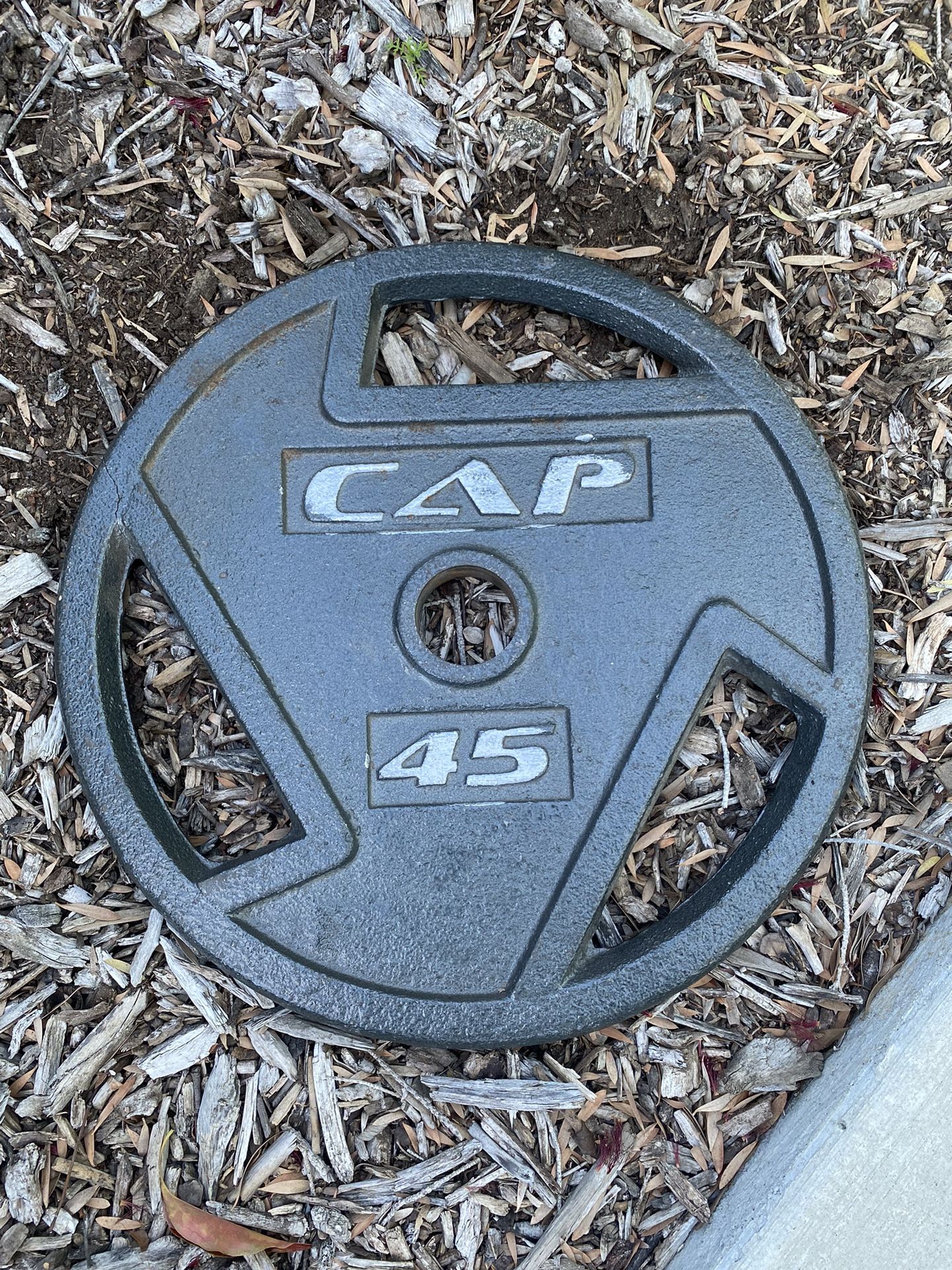 45 Lb Plates CAP Cast Iron Workout Bench Press Squat Deadlift