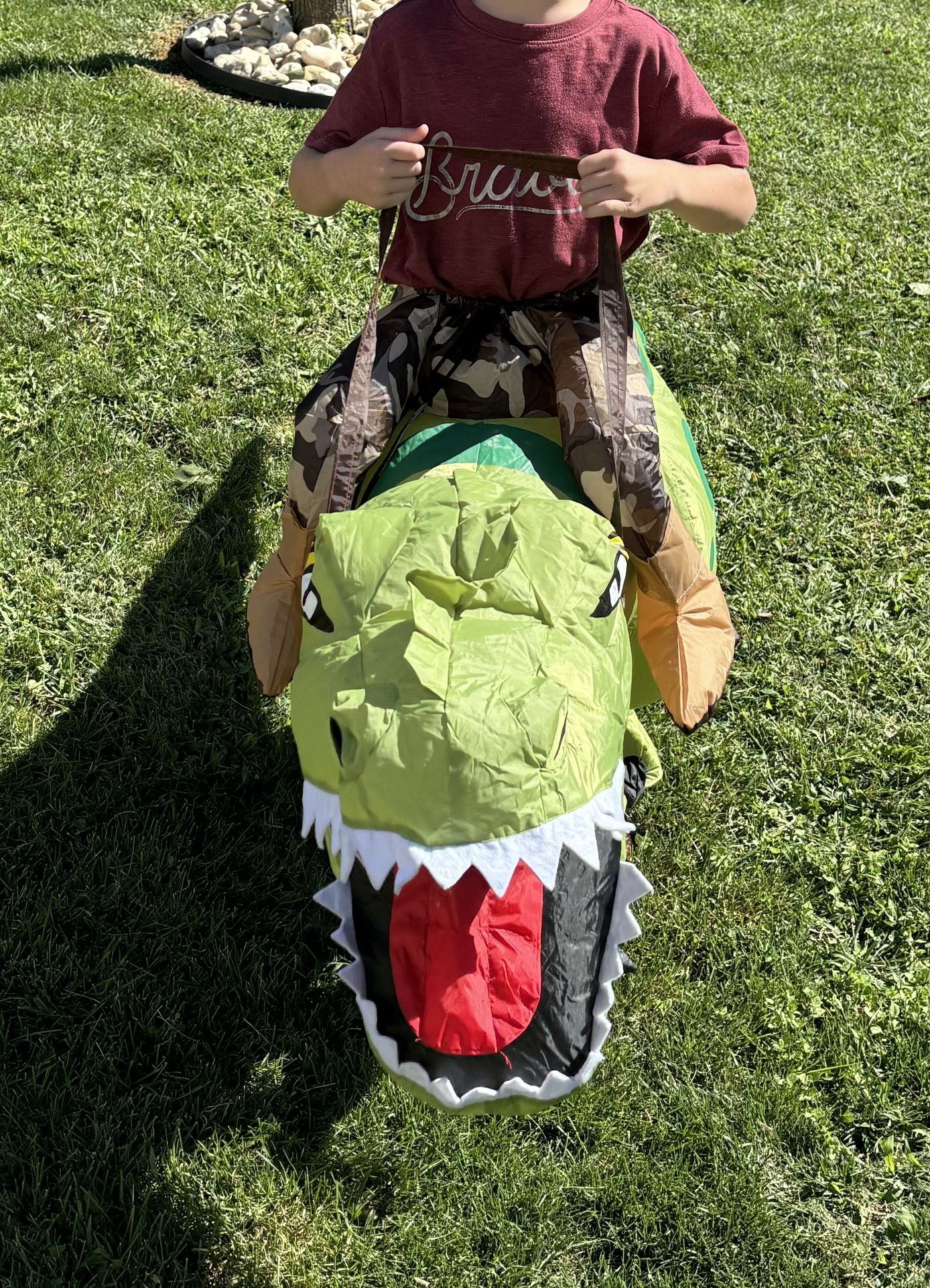 Blow Up Dino Costume